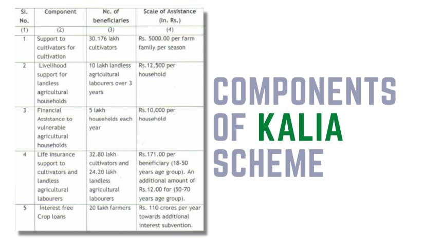 component of kalia yojana 
