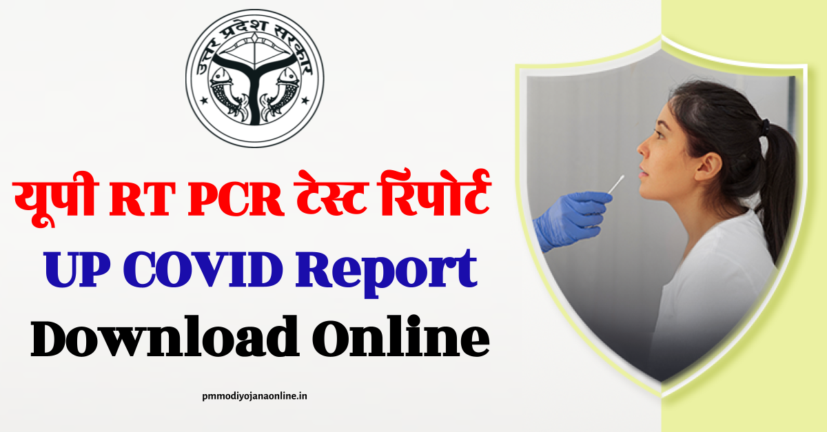 UP COVID Report Online