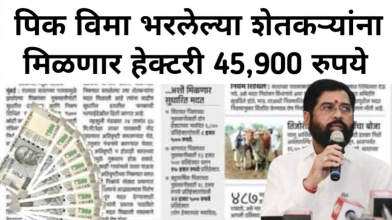 Pik Vima Yadi पिक विमा भरलेल्या शेतकऱ्यांना मिळणार हेक्टरी 45,900 रुपये, इथे यादी चेक करा