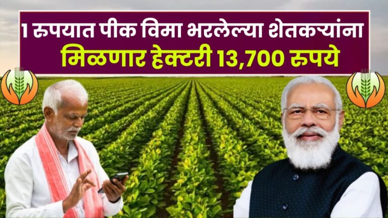 Crop insurance details 2024 1 रुपयात पीक विमा भरलेल्या शेतकऱ्यांना मिळणार हेक्टरी 13,700 रुपये यादी झाली जाहीर