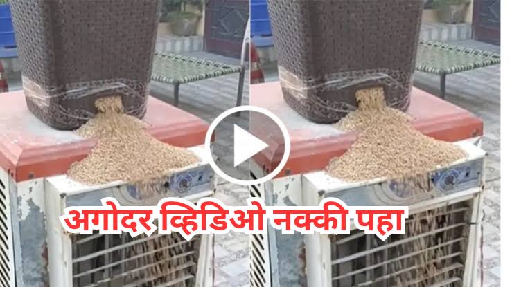 Desi Jugaad देसी जुगाड – एक व्यक्तीने कूलरमधून गहू साफ करण्याचा मोठी मशीन बनवली पहा व्हिडिओ