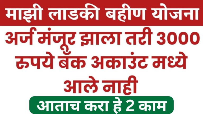 लाडकी बहीण योजनेचे 3000 जमा झाले नसतील तर आताच करा हे 2 काम Ladki Bahin Yojana