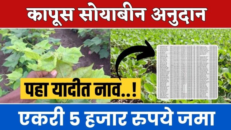 कापूस सोयाबीन अनुदान शेतकऱ्यांच्या खात्यात होणार एकरी 5 हजार रुपये जमा cotton soybean subsidy