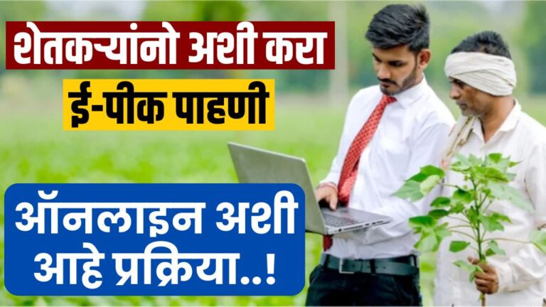 शेतकऱ्यांनो अशी करा ई-पीक पाहणी, ऑनलाइन अशी आहे प्रक्रिया..! e-Peak online process